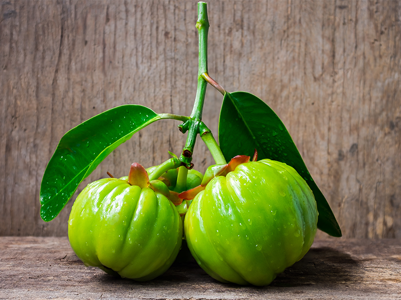 Garcinia Cambogia